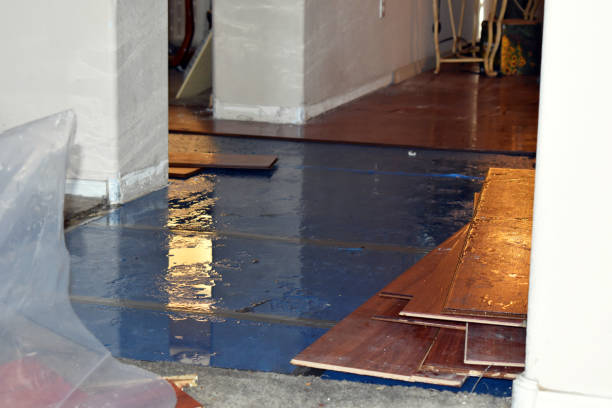 Professional Water Damage Restoration technician working in Doyle, TN